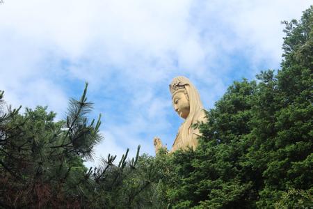 海天佛國(guó)普陀山、普濟(jì)寺、南海觀音 三天雙飛朝圣之旅PT-01