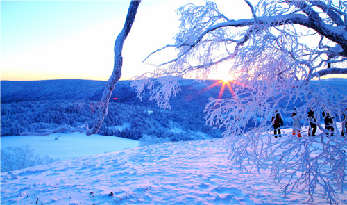 雪韻長(zhǎng)白山、萬達(dá)國(guó)際度假區(qū)、探秘老里克湖、激情滑雪雙飛6日·輕奢萬達(dá)