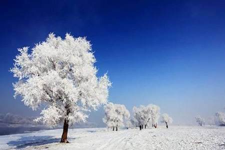 哈爾濱冰雪大世界/亞布力/圣誕別墅/雪鄉(xiāng)/威虎寨民俗村6日【哈雪盛宴】